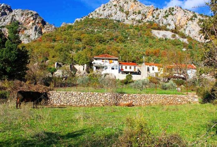 Apartmani Dumezic Бар Екстер'єр фото