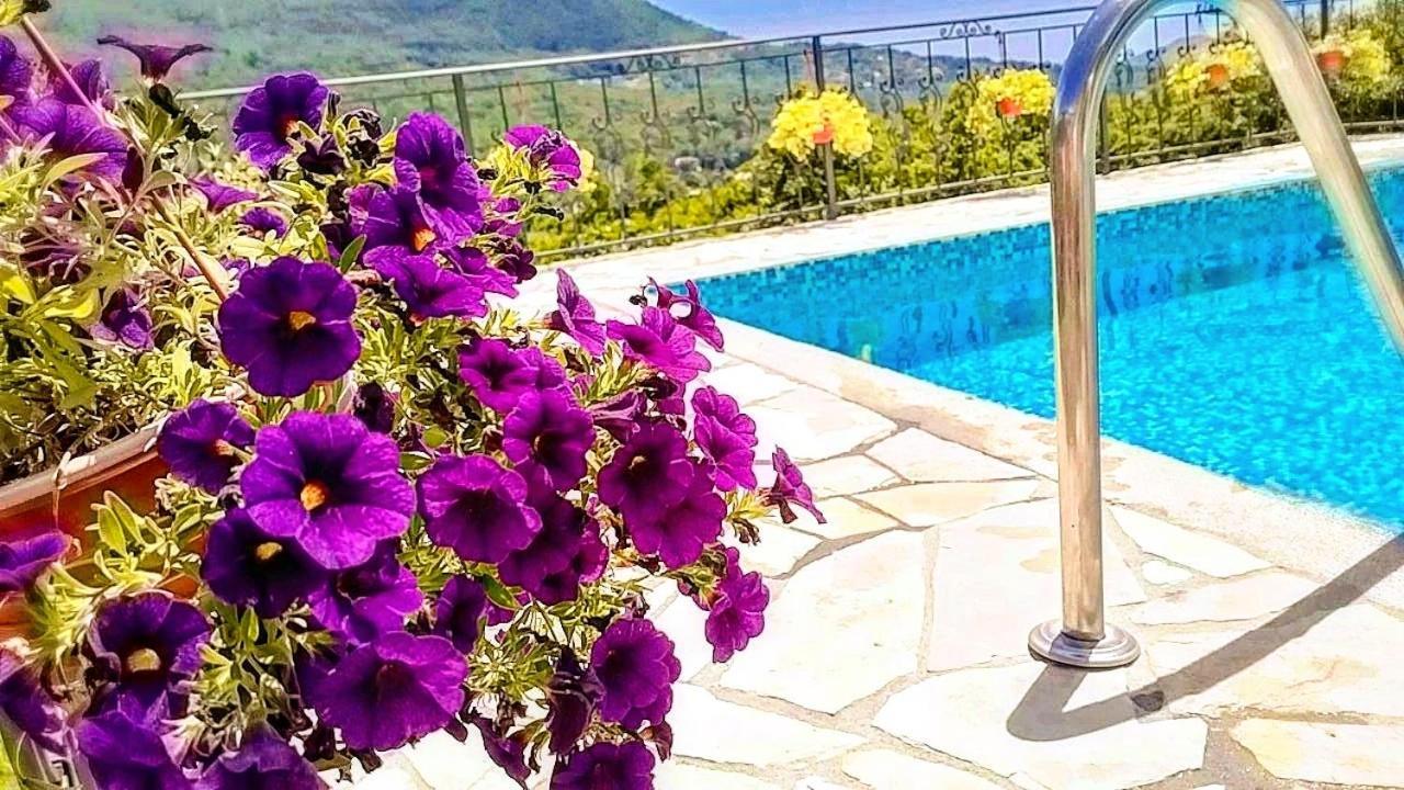Apartmani Dumezic Бар Номер фото