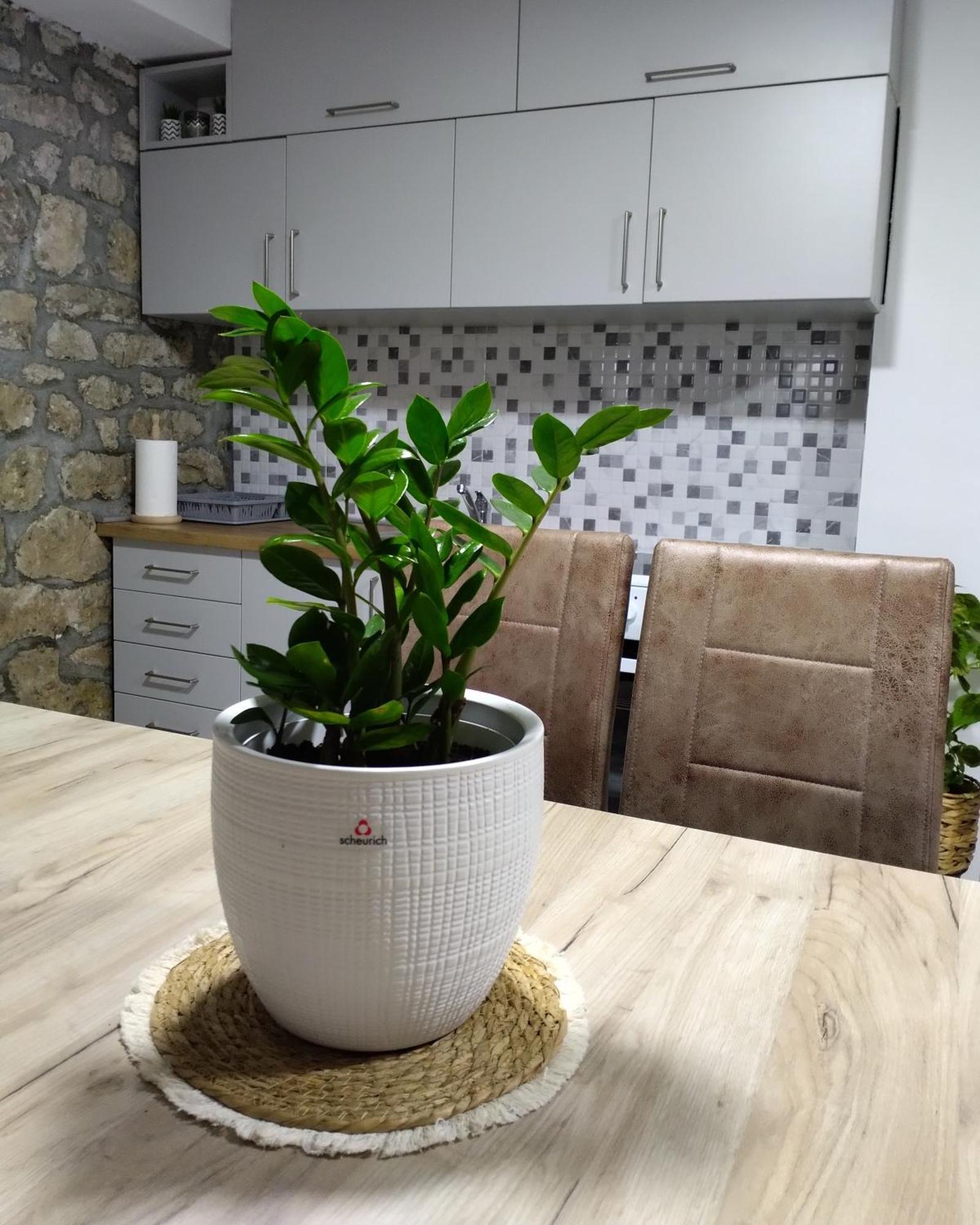 Apartmani Dumezic Бар Номер фото